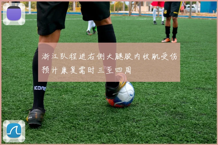 浙江队程进右侧大腿股内收肌受伤预计康复需时三至四周